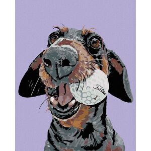 Diamondi – PES S GOLFOVOU LOPTIČKOU, 40 × 50 cm, napnuté plátno na rám Diamondi – PES S GOLFOVOU LOPTIČKOU, 40 × 50 cm, napnuté plátno na rám