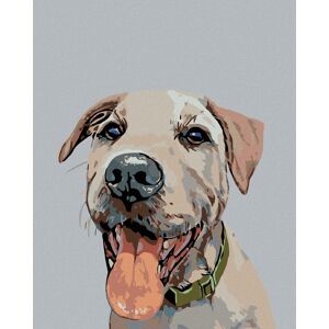 Diamondi – PES SO ZELENÝM OBOJKOM, 40 × 50 cm, napnuté plátno na rám Diamondi – PES SO ZELENÝM OBOJKOM, 40 × 50 cm, napnuté plátno na rám