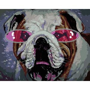zuty Buldoček s ružovými okuliarmi, 40×50 cm, bez rámu a bez vypnutia plátna zuty Buldoček s ružovými okuliarmi, 40×50 cm, bez rámu a bez vypnutia plátna
