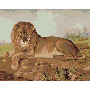 zuty Lev na savane, 80 × 100 cm, plátno napnuté na rám zuty Lev na savane, 80 × 100 cm, plátno napnuté na rám
