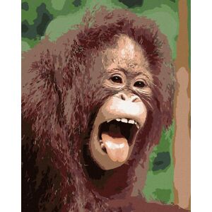 zuty Orangutan s otvorenou papuľou, 40 × 50 cm, plátno napnuté na rám zuty Orangutan s otvorenou papuľou, 40 × 50 cm, plátno napnuté na rám