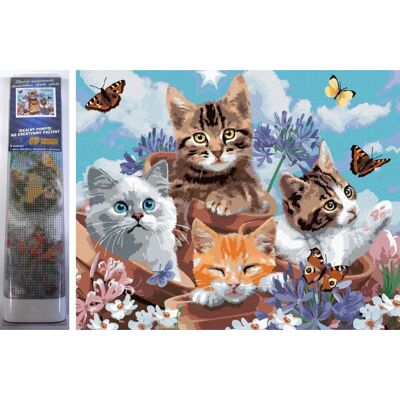 Norimpex Mačiatka a motýle 40 × 30 cm Norimpex Mačiatka a motýle 40 × 30 cm