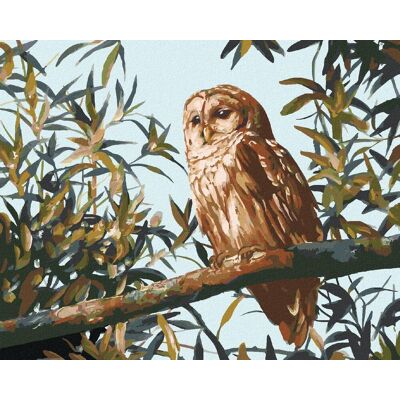 Zuty – Maľovanie podľa čísel – Sova na vetve a listy (D. Rusty Rust), 80 × 100 cm, plátno + rám Zuty – Maľovanie podľa čísel – Sova na vetve a listy (D. Rusty Rust), 80 × 100 cm, plátno + rám