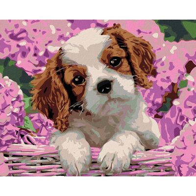 zuty Maľovanie podľa čísel - Šteniatko a hortenzie, 50 x 40 cm, bez rámu a napnutého plátna zuty Maľovanie podľa čísel - Šteniatko a hortenzie, 50 x 40 cm, bez rámu a napnutého plátna