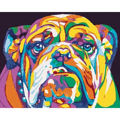 zuty Farebný bulldog, 40×50 cm, vypnuté plátno na rám zuty Farebný bulldog, 40×50 cm, vypnuté plátno na rám