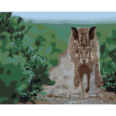 zuty Bežiaci zajac, 40 × 50 cm, bez rámu a bez napnutia plátna zuty Bežiaci zajac, 40 × 50 cm, bez rámu a bez napnutia plátna