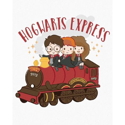 zuty Rokfortský express (Harry Potter), 40×50 cm, bez rámu a bez vypnutia plátna zuty Rokfortský express (Harry Potter), 40×50 cm, bez rámu a bez vypnutia plátna