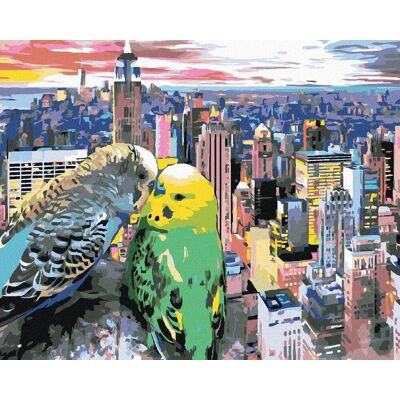 zuty Dve zamilované andulky v New Yorku, 40×50 cm, vypnuté plátno na rám zuty Dve zamilované andulky v New Yorku, 40×50 cm, vypnuté plátno na rám