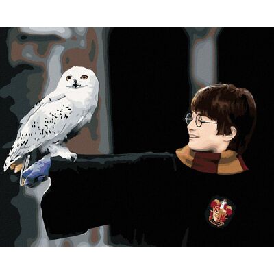 zuty Harry Potter s Hedvigou na ruke, 40 × 50 cm, plátno napnuté na rám zuty Harry Potter s Hedvigou na ruke, 40 × 50 cm, plátno napnuté na rám