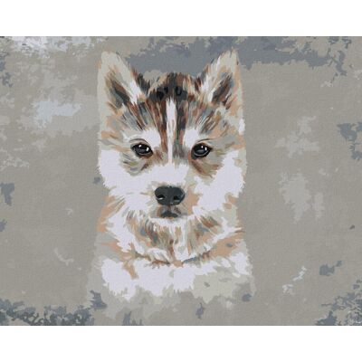 zuty Husky na sivom pozadí, 40 × 50 cm, plátno napnuté na rám zuty Husky na sivom pozadí, 40 × 50 cm, plátno napnuté na rám