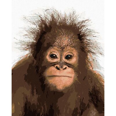 zuty Mladý orangutan, 80 × 100 cm, plátno napnuté na rám zuty Mladý orangutan, 80 × 100 cm, plátno napnuté na rám