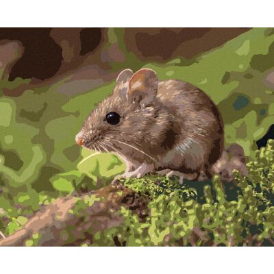zuty Myška spočívajúca v lese, 40×50 cm, bez rámu a bez vypnutia plátna zuty Myška spočívajúca v lese, 40×50 cm, bez rámu a bez vypnutia plátna