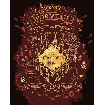 zuty Záškodnícky plánik (Harry Potter), 40×50 cm, vypnuté plátno na rám zuty Záškodnícky plánik (Harry Potter), 40×50 cm, vypnuté plátno na rám