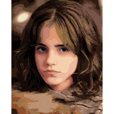 zuty Portrét Hermiona s prísnym pohľadom (Harry Potter), 40×50 cm, bez rámu a bez vypnutia plátna zuty Portrét Hermiona s prísnym pohľadom (Harry Potter), 40×50 cm, bez rámu a bez vypnutia plátna