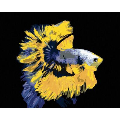 zuty Ryba bojovnica žltomodrá, 40×50 cm, vypnuté plátno na rám zuty Ryba bojovnica žltomodrá, 40×50 cm, vypnuté plátno na rám