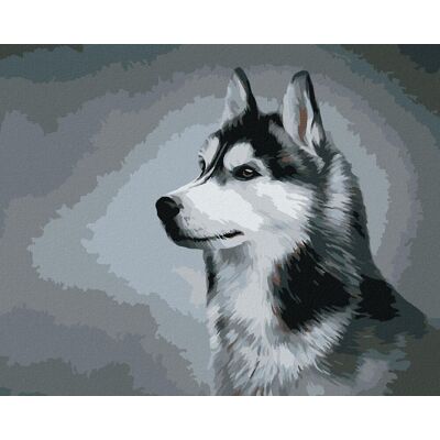 zuty Sibírsky husky, 40×50 cm, vypnuté plátno na rám zuty Sibírsky husky, 40×50 cm, vypnuté plátno na rám