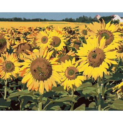 zuty Slnečnice na poli 2, 80 × 100 cm, plátno napnuté na rám zuty Slnečnice na poli 2, 80 × 100 cm, plátno napnuté na rám