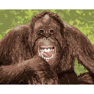 zuty Vysmiaty orangutan, 40×50 cm, vypnuté plátno na rám zuty Vysmiaty orangutan, 40×50 cm, vypnuté plátno na rám