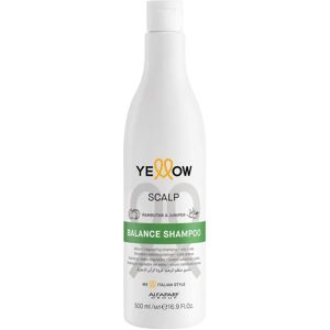 ALFAPARF MILANO YE Scalp Balance Shampoo 500 ml ALFAPARF MILANO YE Scalp Balance Shampoo 500 ml