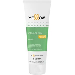 ALFAPARF MILANO YE Scalp Detox Cream 250 ml ALFAPARF MILANO YE Scalp Detox Cream 250 ml