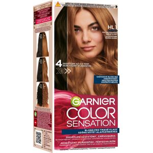 GARNIER Color Sensation permanentná farba na vlasy HL1 6.31 Black Hair 20, 60 + 40 + 12 ml GARNIER Color Sensation permanentná farba na vlasy HL1 6.31 Black Hair 20, 60 + 40 + 12 ml