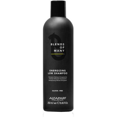 ALFAPARF MILANO Blends of Many Energizing Low Shampoo posilňujúci šampón na rednúce vlasy 250 ml ALFAPARF MILANO Blends of Many Energizing Low Shampoo posilňujúci šampón na rednúce vlasy 250 ml