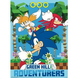 Pyramid Sonic The Hedgehog: Sonic & Team 38 × 52 cm Pyramid Sonic The Hedgehog: Sonic & Team 38 × 52 cm