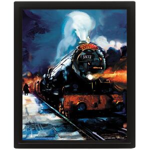 Pyramid Harry Potter 3D: Rokfortský expres – obraz Pyramid Harry Potter 3D: Rokfortský expres – obraz