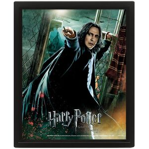 Pyramid Harry Potter 3D: Snape – obraz Pyramid Harry Potter 3D: Snape – obraz