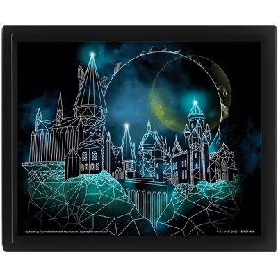 Pyramid Harry Potter 3D: Rokfort – obraz Pyramid Harry Potter 3D: Rokfort – obraz