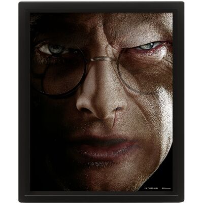 Pyramid Harry Potter 3D: Harry vs Voldemort – obraz Pyramid Harry Potter 3D: Harry vs Voldemort – obraz