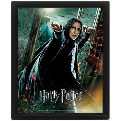 Pyramid Harry Potter 3D: Snape – obraz Pyramid Harry Potter 3D: Snape – obraz