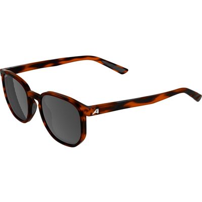 Alpina Sports Alpina Dimont havana matt Alpina Sports Alpina Dimont havana matt