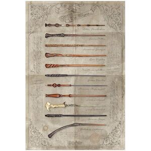 Pyramid Harry Potter The Wand Chooses The Wizard Pyramid Harry Potter The Wand Chooses The Wizard