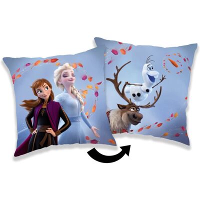 Jerry Fabrics Vankúšik Frozen 2 Wind 02 40 × 40 cm Jerry Fabrics Vankúšik Frozen 2 Wind 02 40 × 40 cm