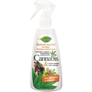 BIONE COSMETICS Bio Cannabis Bylinné mazanie s pagaštanom konským 260 ml BIONE COSMETICS Bio Cannabis Bylinné mazanie s pagaštanom konským 260 ml
