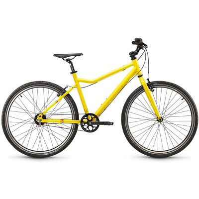 Academy Grade 6 26-7S Nexus belt Yellow Academy Grade 6 26-7S Nexus belt Yellow