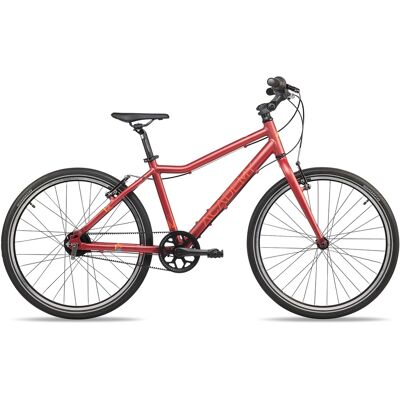 Academy Grade 5 24-7S Nexus belt red Academy Grade 5 24-7S Nexus belt red