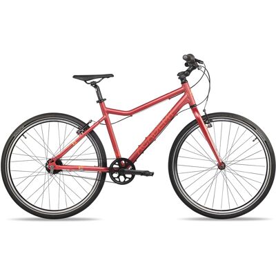 Academy Grade 6 26-7S Nexus belt red Academy Grade 6 26-7S Nexus belt red
