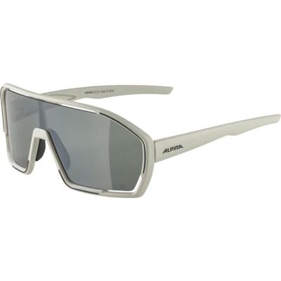 Alpina Sports ALPINA BONFIRE Q-LITE cool grey matt Alpina Sports ALPINA BONFIRE Q-LITE cool grey matt