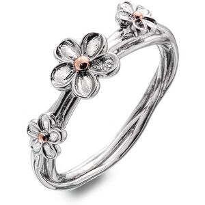 HOT DIAMONDS Forget me not DR214/N (Ag 925/1000 g g), veľkosť 54 HOT DIAMONDS Forget me not DR214/N (Ag 925/1000 g g), veľkosť 54