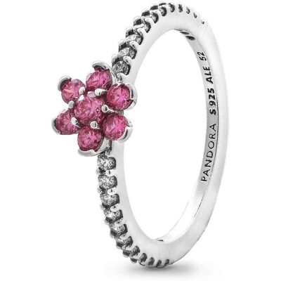 PANDORA Moments 194499C02-54 (Ag 925/1000, 1,9 g) PANDORA Moments 194499C02-54 (Ag 925/1000, 1,9 g)