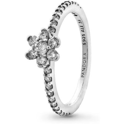 PANDORA Moments 194499C01-56 (Ag 925/1000, 1,9 g) PANDORA Moments 194499C01-56 (Ag 925/1000, 1,9 g)