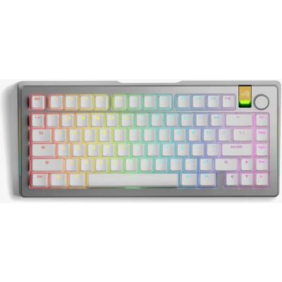 GLORIOUS GMMK 3 PRO HE 75 % Prebuilt Wireless Silver – US GLORIOUS GMMK 3 PRO HE 75 % Prebuilt Wireless Silver – US