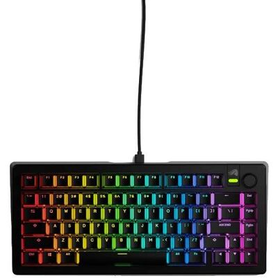GLORIOUS GMMK 3 75 % Prebuilt Wired Black – US GLORIOUS GMMK 3 75 % Prebuilt Wired Black – US