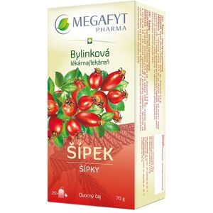 Megafyt Šípky 20× 3,5 g Megafyt Šípky 20× 3,5 g