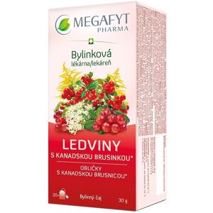 Megafyt Obličky s kanadskou brusnicou 20× 1,5 g Megafyt Obličky s kanadskou brusnicou 20× 1,5 g