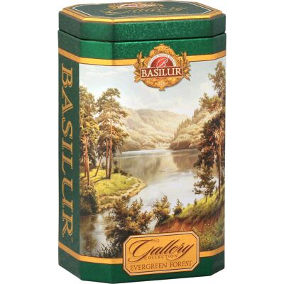 Basilur Gallery Evergreen Forest 100 g plech Basilur Gallery Evergreen Forest 100 g plech