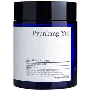 PYUNKANG YUL Moisture Cream 100 ml PYUNKANG YUL Moisture Cream 100 ml