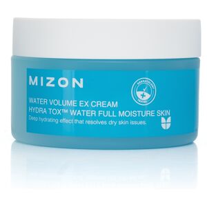Mizon MIZÓN Water Volume Ex Cream 100 ml Mizon MIZÓN Water Volume Ex Cream 100 ml